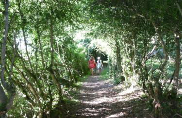 Gîtes et yourte le Tucaou avec bains nordiques - Foto 12