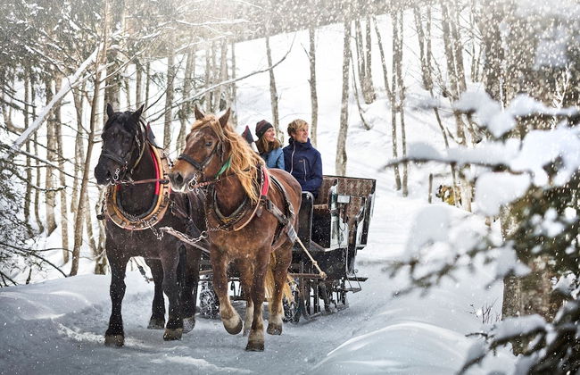 Beautiful Apartment in Viehhofen With hot tub - Foto 23
