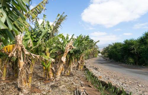 Casa María - Caserío de Guaza - Foto 30