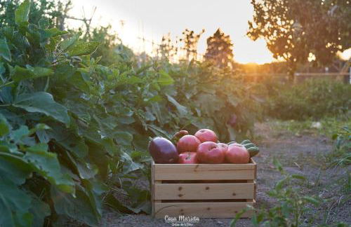 La Casa de Marieta "A" - Foto 44