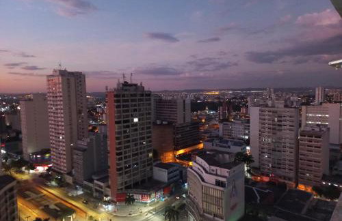 Flor do Cerrado - Foto 7