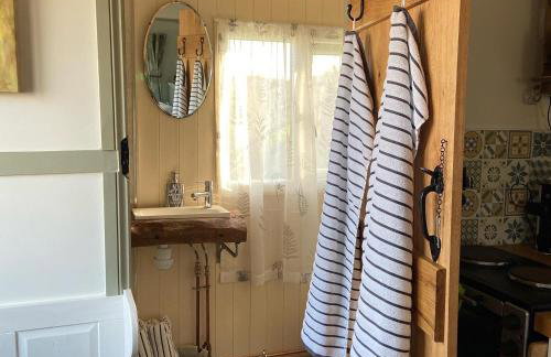 Willowbank shepherds hut - Foto 20