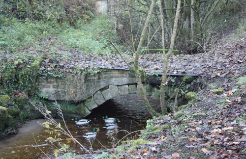 Squirrel cottage - Foto 29