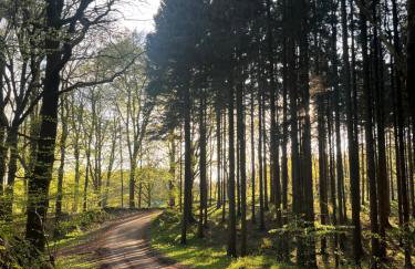 Apartment Grüne Welle - Foto 16