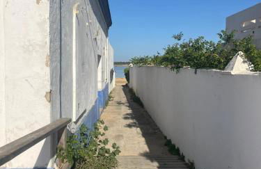 Mi Paraiso - Photo 34