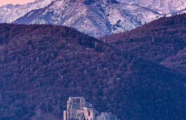 Il Giardino Fiorito - Photo 12