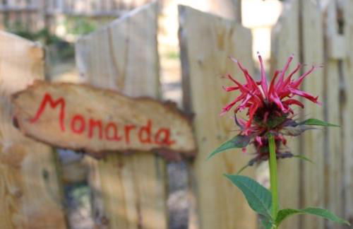 Agritur Agrihouse - Foto 29