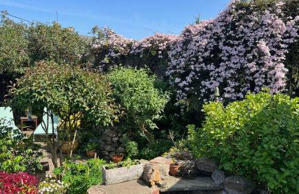 Craig Cottage 3BR Tayport Near St Andrews - Foto 45