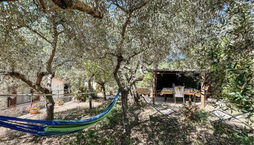 2 Bedroom Pet Friendly Home In Todi - Foto 5