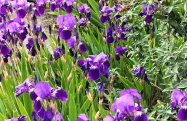 Le Gîte des Trois Seigneurs - Photo 25