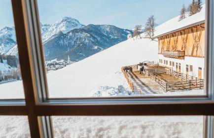 Altmessnerhof - Foto 27