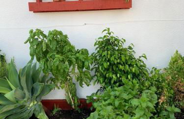 ATICO LA ILUSION CON PARkING - Foto 45