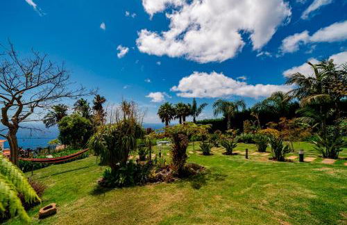 OurMadeira - Garden Paradise - Foto 30