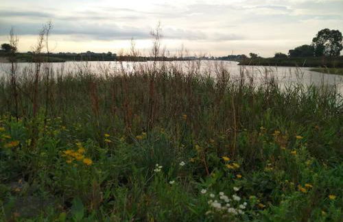 Forsthaus Nicolai - Foto 50