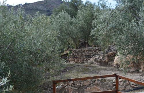 EncinaGorda - Foto 37