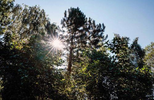 Ferienwohnung Radeberg - Foto 55