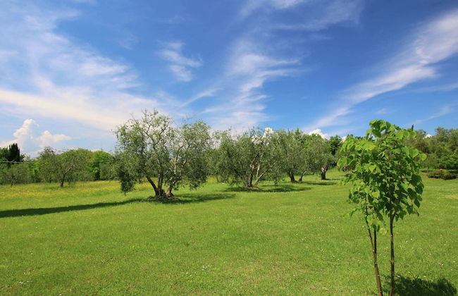 Villa With Swimming Pool in Marciano - Foto 28