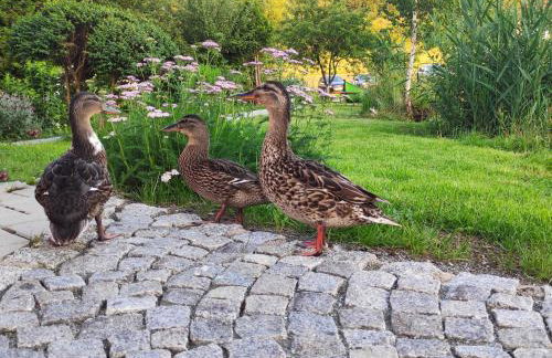 Domek nad Rozlewiskiem - Foto 3