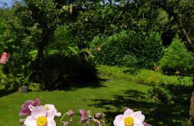 Ferienwohnung Exoten-Paradies im Garten Seggewiß - Tierfreie Nichtraucherwohnung in Raesfeld, Kreis Borken - Foto 29