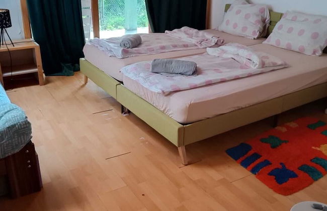 Fairytale Wooden House near Ljubljana - Foto 61