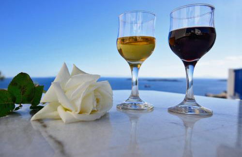 Sarris Planet - Photo 29