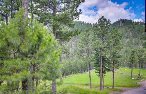 Keystone Escape with Amazing Mt Rushmore View! - Foto 31