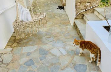 Limni No 2 self catering apartment - Foto 21