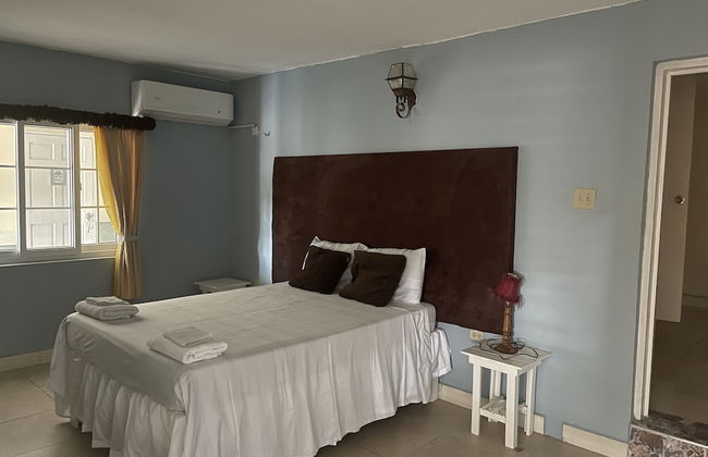 Pirate Palms - Foto 5