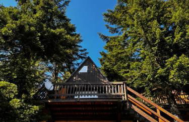 Chalet de montagne - Foto 1