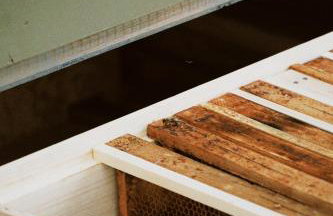 Dom w trawach - Foto 67