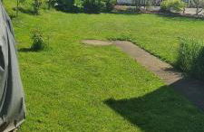 Fewo-Kreiensen - Foto 17