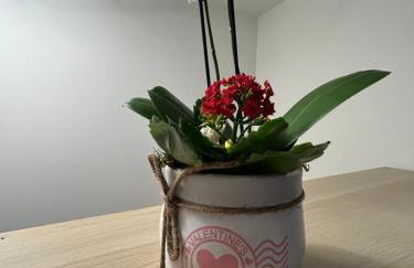 Casa da Vila do Rock - Foto 21