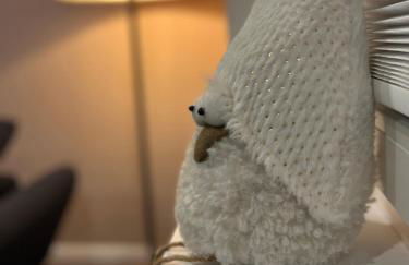 Muggelhuus das Ferienhaus im Alten Land / Pflaumenbaum - Photo 38