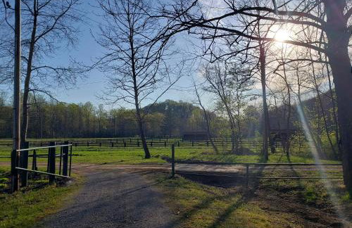 Swaying Pines Cabin w/EV Charger - Foto 33