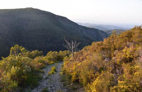 Casa da Cerejinha - Foto 6