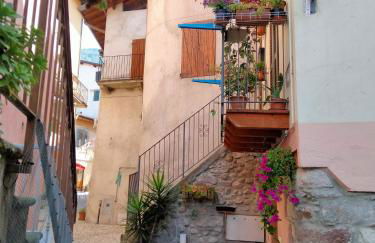 Casa Storta - Cycle Garage CON BICICLETTE - Foto 5