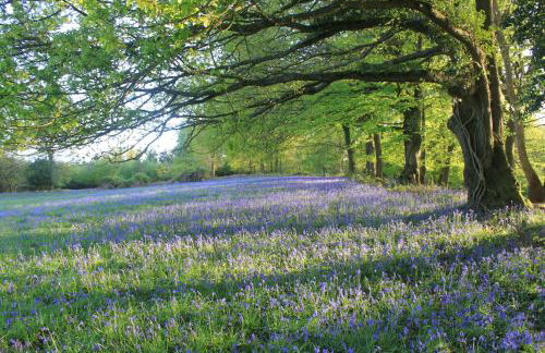 High View Barn - Foto 23