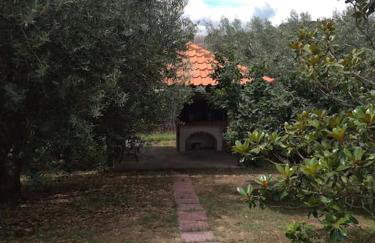 Earthly paradise Kariani - Foto 16