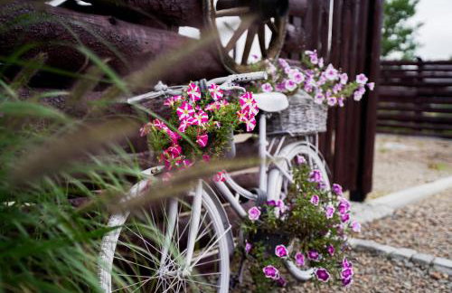 Domki Natura Zator - Foto 22