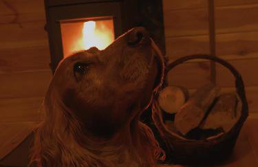 Domki w Dolinie Radomki - Foto 17