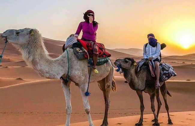 Marsa Alam: experiência em quadriciclo de 3 horas com passeio de camelo - Foto 15