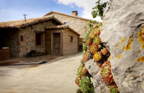 Poble Rural Puig Arnau - Pubilló - Foto 90