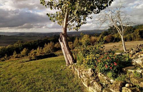 Casale dei 3 galli - Foto 43