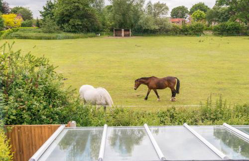 Dog friendly cottage on the edge of the Norfolk Broads - Foto 70