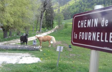 Gîte Toukoul - Foto 10