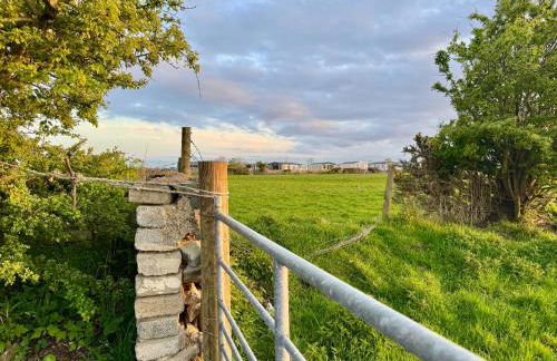 Mountain View Shepherds Hut - Foto 23