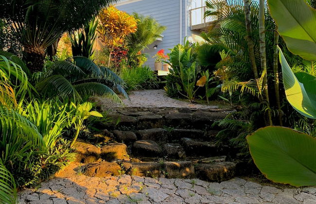 Red Coconut Self Catering - Photo 43