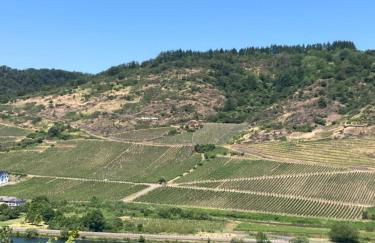 Ferienhaus Goldstück wohnen im Weinberg - Foto 55