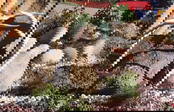 Alexander lake lodge - Foto 64