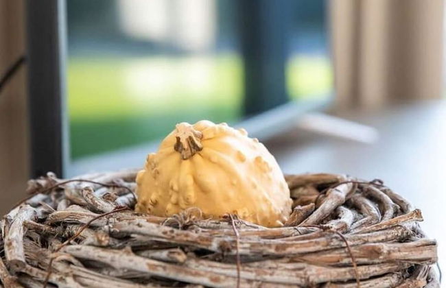 Pleasing Holiday Home in Alphen With Garden and Patio - Foto 28